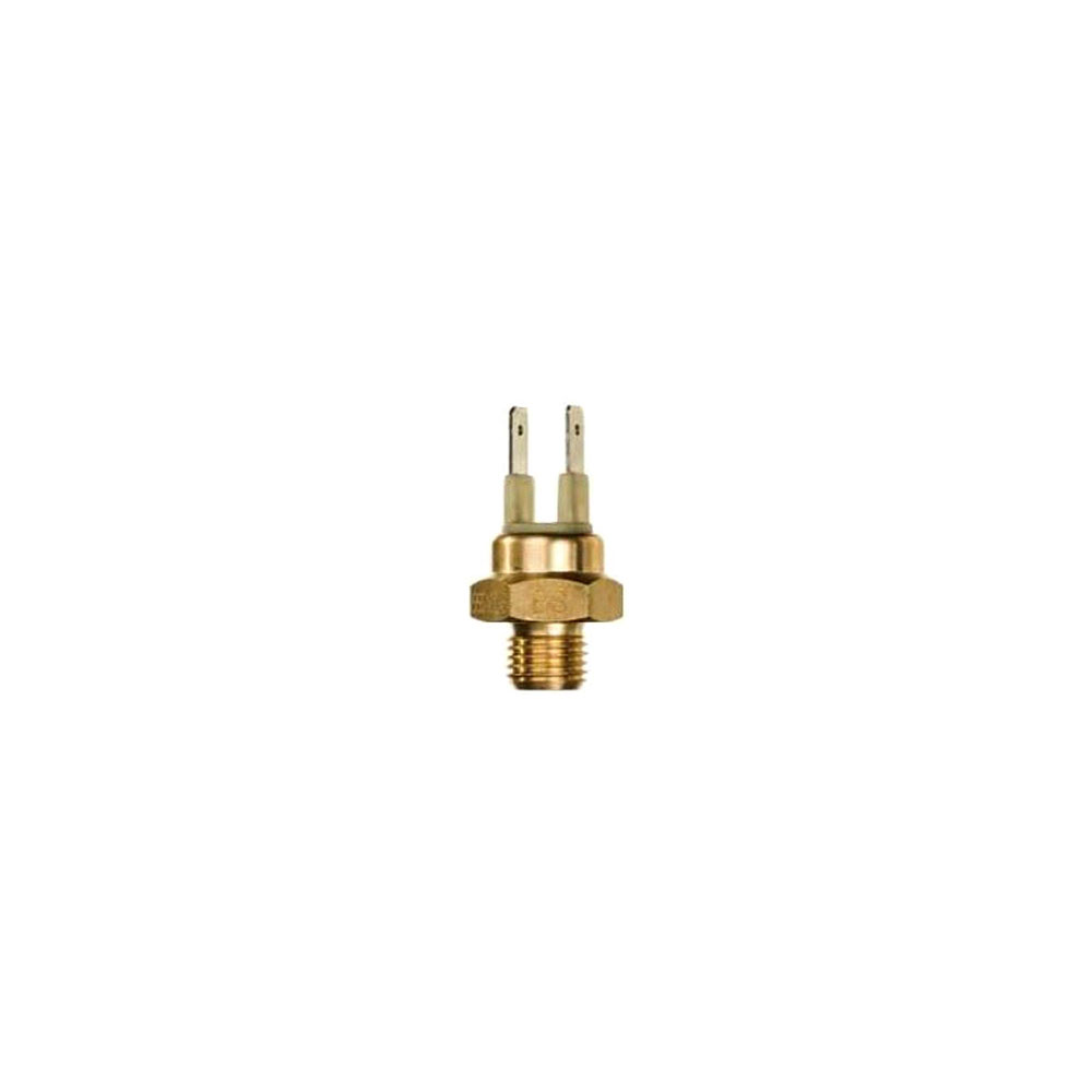 Temperature Transmitter 55 Degress C